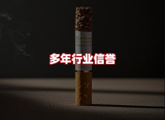 专业团队